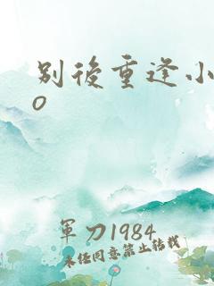 别后重逢小说po