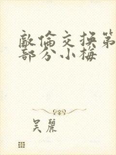 敌伦交换第11部分小梅