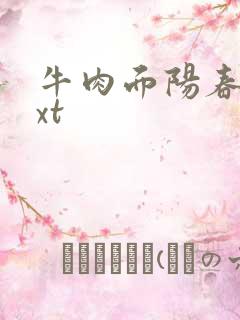 牛肉面阳春面txt