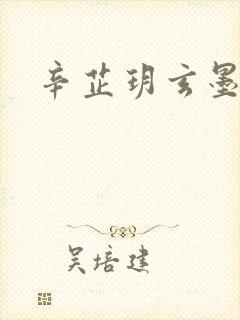 辛芷玥玄墨小说