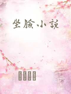 坐脸小说