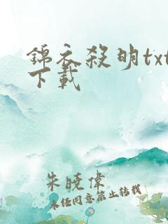 锦衣杀明txt下载