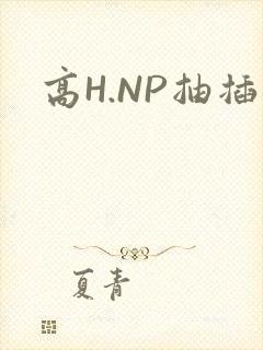 高H.NP抽插