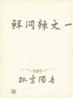 鲜网辣文一对一