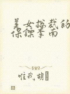 美女总裁的护花保镖李南