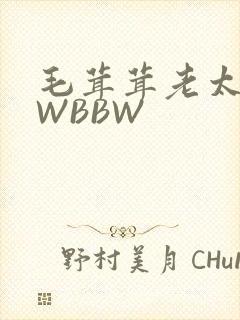 毛茸茸老太BBWBBW