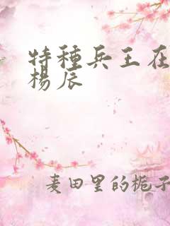 特种兵王在都市杨辰