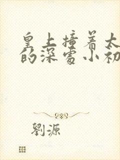 皇上撞着太子妃的深处小初