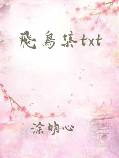 飞鸟集txt