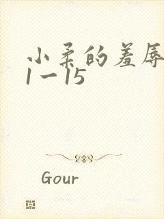 小柔的羞辱日记1一15