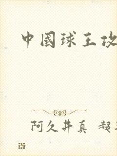 中国球王攻略