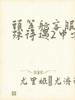 头等舱客服的特殊待遇2中字