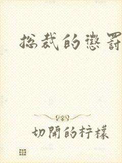 总裁的惩罚游戏