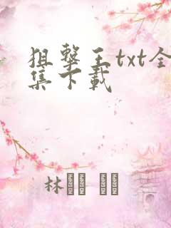 狙击王txt全集下载