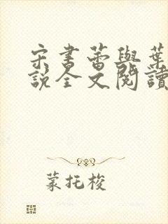 宋书蕾与叶临小说全文阅读