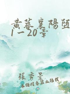 黄蓉襄阳堕落史1一20章