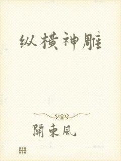 纵横神雕