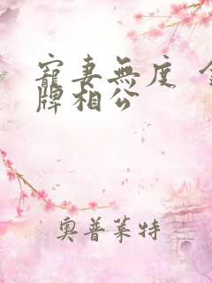 宠妻无度  金牌相公