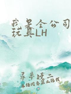 我是全公司发泄玩具LH