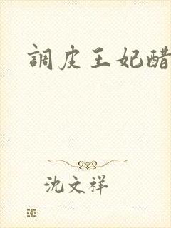 调皮王妃醋王爷