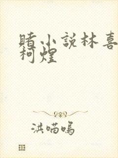 赌小说林喜朝和柯煜