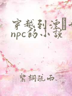 穿越到湮婸世界npc的小说