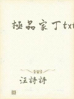 极品家丁txt
