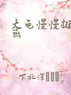 大龟慢慢挺进张燕