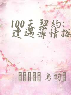 100天契约:遭遇薄情总裁
