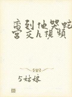 脔到他哭蛇双根宫交h视频