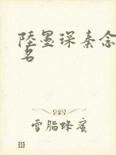 陆墨琛秦念小说名