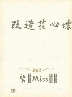 改造花心坏相公