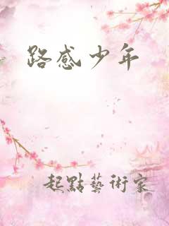 路感少年