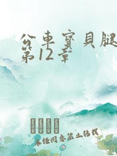 公车宝贝腿开点第12章