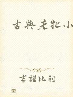 古典老牝小说