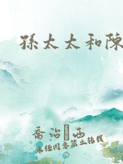 孙太太和陈阿姨