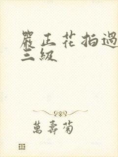 严正花拍过什么三级