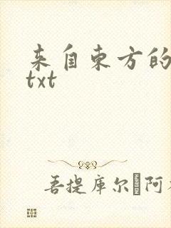 来自东方的骑士txt