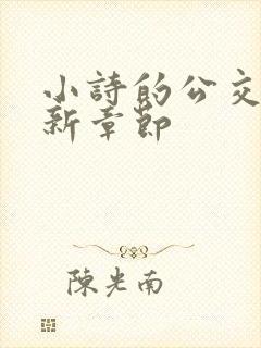 小诗的公交车最新章节