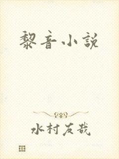 黎音小说