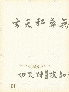 玄天邪尊无弹窗