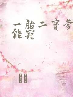 一胎二宝爹地超能宠