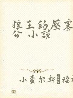 狼王的压寨小相公 小说