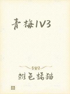 青梅1V3