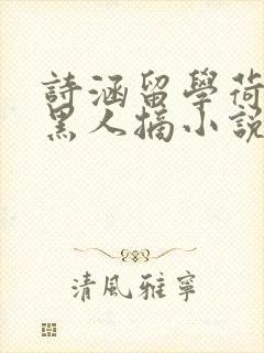 诗涵留学荷兰被黑人摘小说