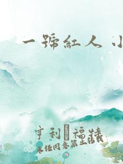 一号红人 小说