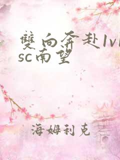 双向奔赴1v1sc南望