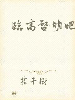 临高启明吧