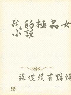 我的极品女老师小说