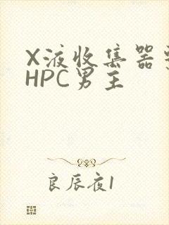 X液收集器系统HPC男主